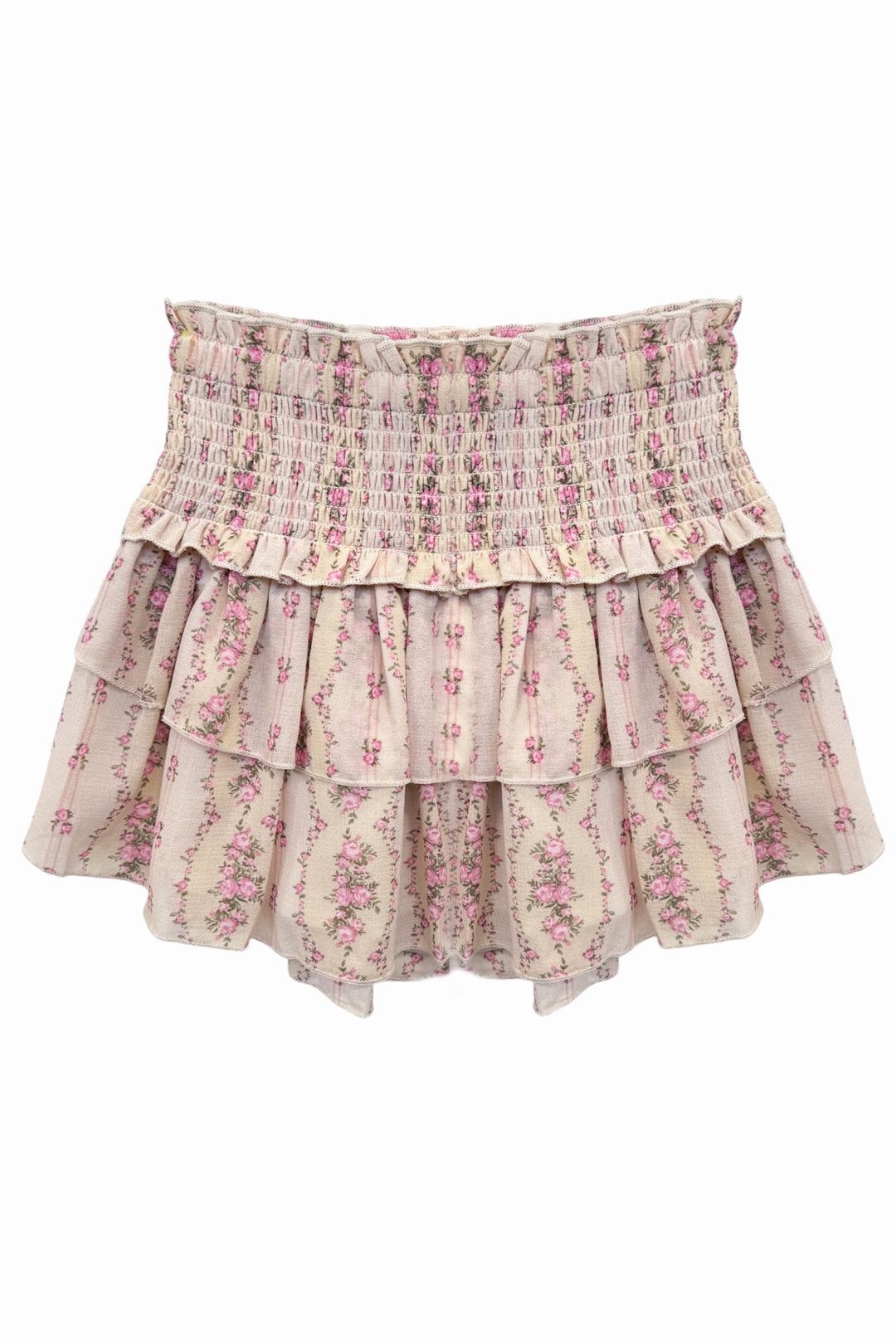 P. willinckii ’Jenny’ TC 1614 TC-1614