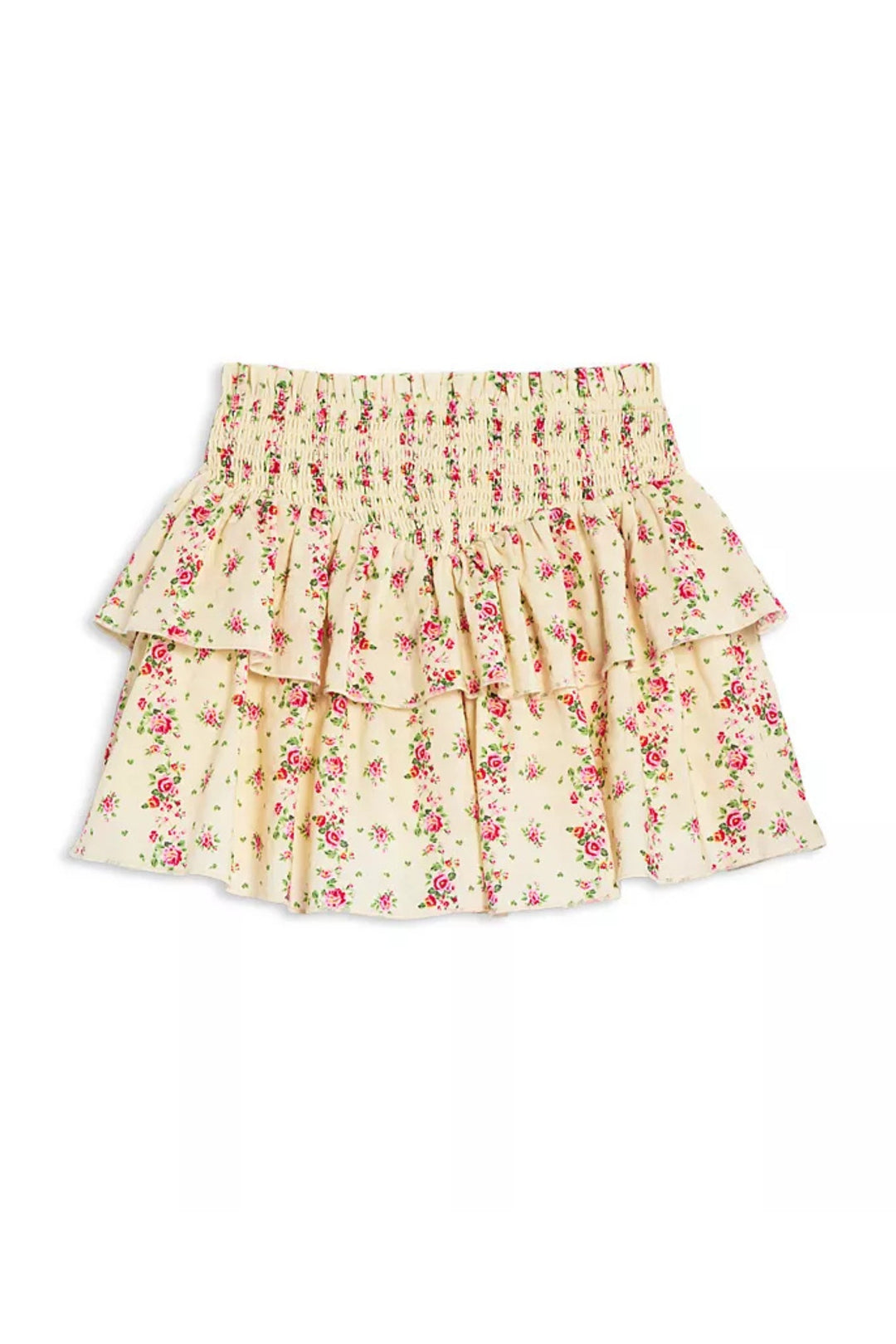 P. willinckii ’Jenny’ TC 2130 P. willinckii 'Jenny' TC 2130 Platycerium willinckii Jenny