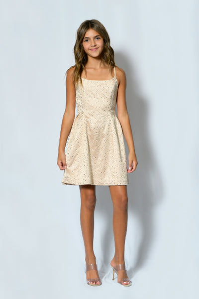 Tween Party Dresses & Sets KatieJNYC Tween Party Dresses & Sets KatieJNYC